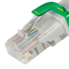 MX UTP CAT 6a Patch Cord With Component Test Report With Fluke DTX 1800 MX-3562 - Image 2